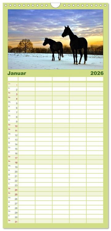 Produktbild: Familienplaner 2026 - Faszination Pferde mit 5 Spalten (Wandkalender, 21 x 45 cm) CALVENDO