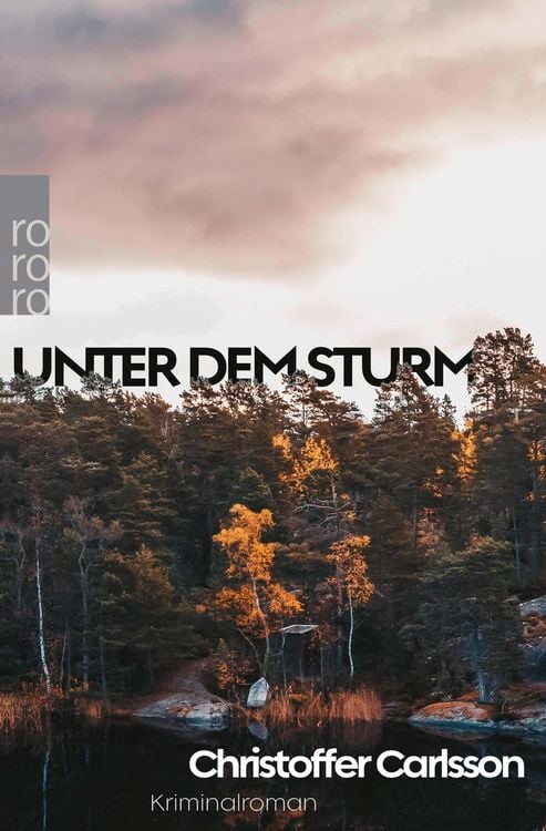 Produktbild: Unter dem Sturm