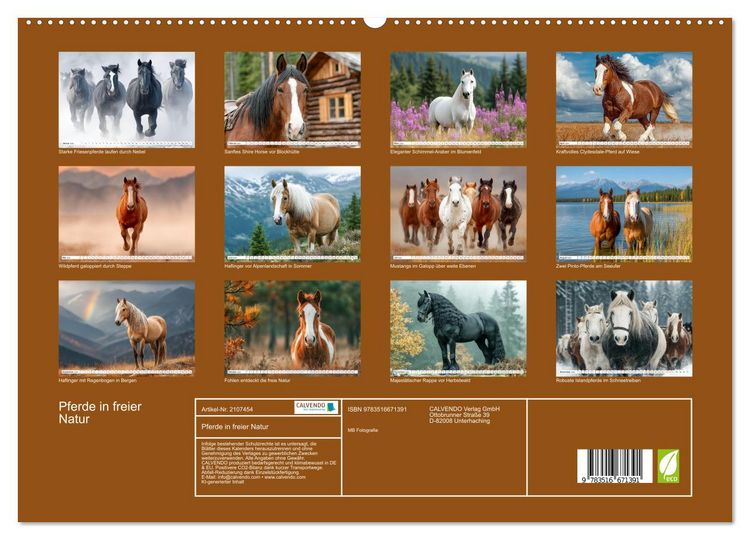 Produktbild: Pferde in freier Natur (hochwertiger Premium Wandkalender 2026 DIN A2 quer), Kunstdruck in Hochglanz