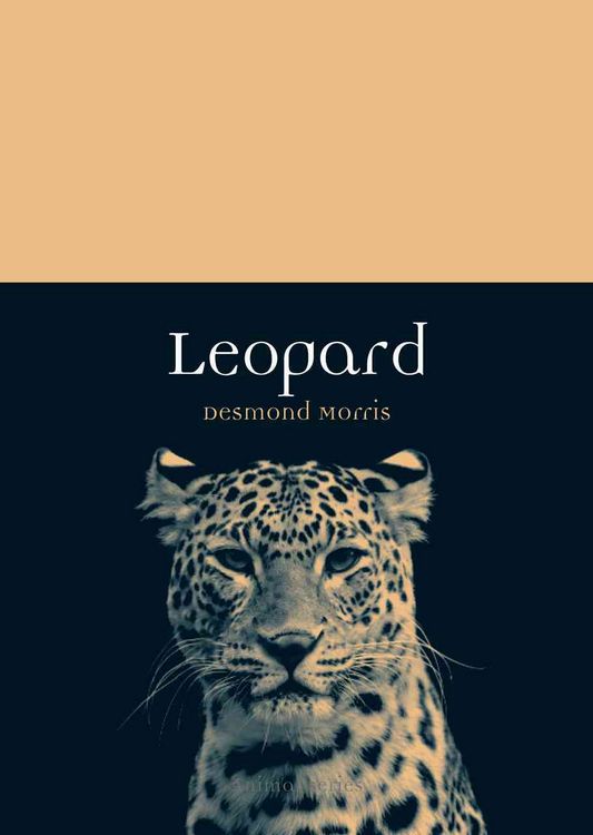 Produktbild: Leopard