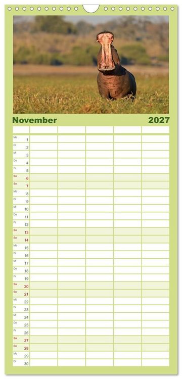 Produktbild: Familienplaner 2027 - Flusspferde Magie des Augenblicks - Hippos in Afrika mit 5 Spalten (Wandkalender, 21 x 45 cm) CALVENDO