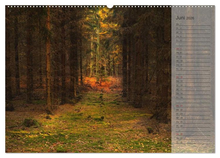 Produktbild: Unser Wald - Magische Sichten in norddeutsche W&auml;lder / Geburtstagskalender (hochwertiger Premium Wandkalender 2026 DIN A2 quer), Kunstdruck in Hochglanz