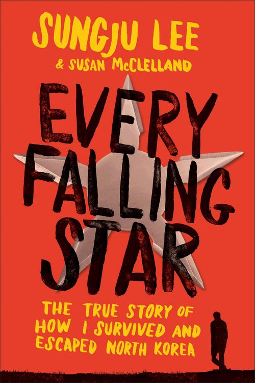 Produktbild: Every Falling Star