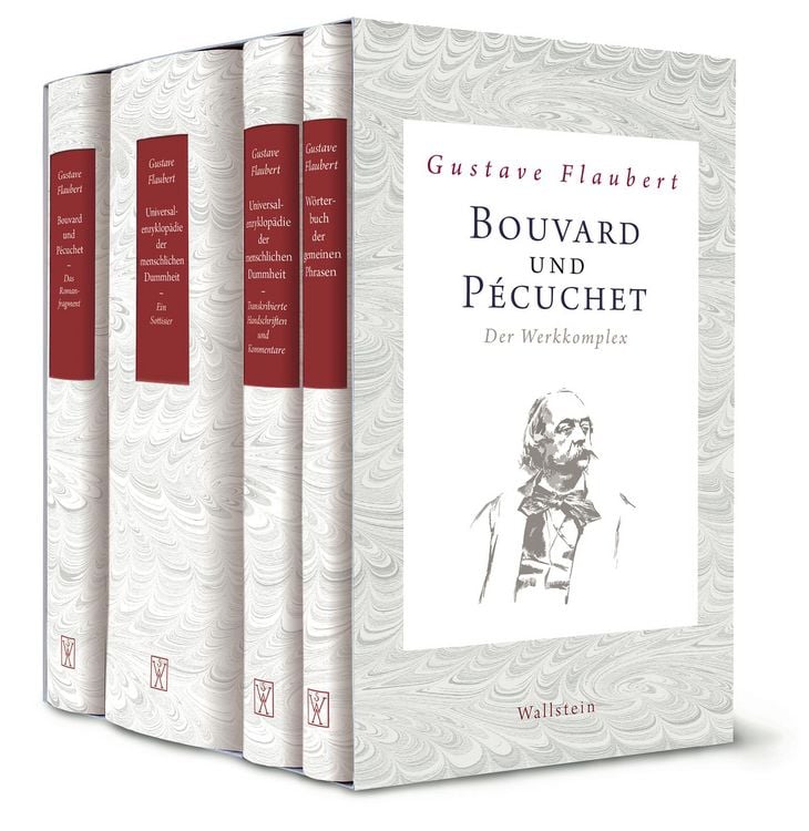 Produktbild: Bouvard und P&eacute;cuchet