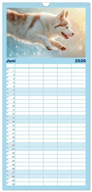 Produktbild: Familienplaner 2026 - Huskies - Kraft und Anmut mit 5 Spalten (Wandkalender, 21 x 45 cm) CALVENDO