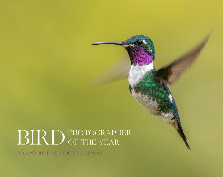 Produktbild: Bird Photographer_bird Phot Hb