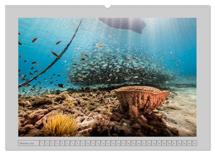 Produktbild: Karibische Meerblicke (Wandkalender 2026 DIN A2 quer), CALVENDO Monatskalender