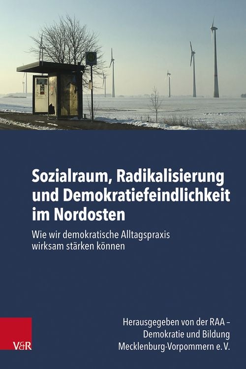 Produktbild: Sozialraum, Radikalisierung und Demokratiefeindlichkeit im Nordosten