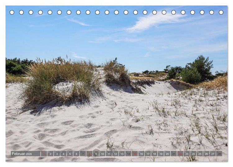 Produktbild: Fischland Dar&szlig; Zingst - wie gemalt (Tischkalender 2026 DIN A5 quer), CALVENDO Monatskalender