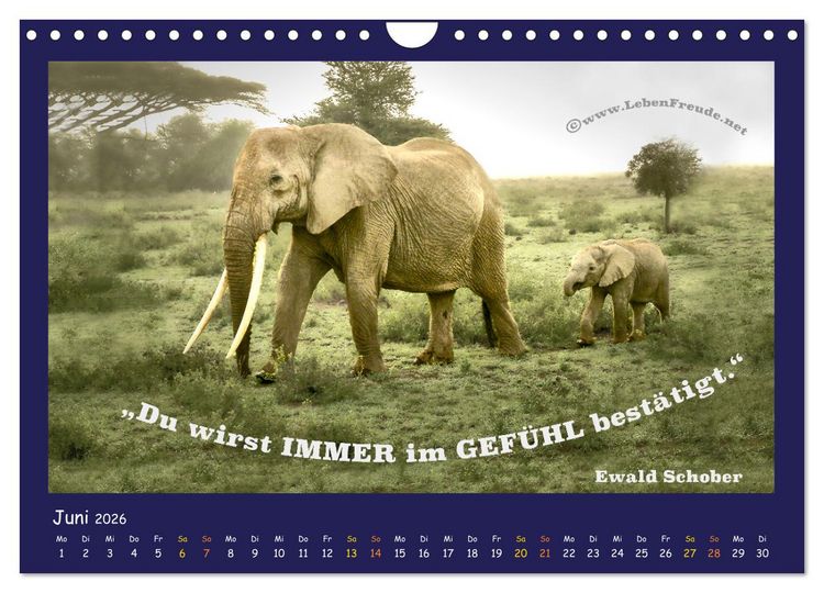 Produktbild: Bewusst leben und gl&uuml;cklich sein (Wandkalender 2026 DIN A4 quer), CALVENDO Monatskalender