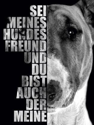 Produktbild: CALVENDO Puzzle Bullterrier 1000 Teile Puzzle hoch | 1000 Teile Lege-Gr&ouml;&szlig;e 64 &times; 48 cm Foto-Puzzle f&uuml;r gl&uuml;ckliche Stunden