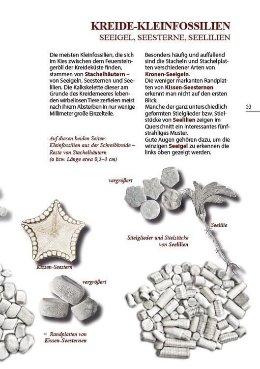 Produktbild: Steine am Ostseestrand