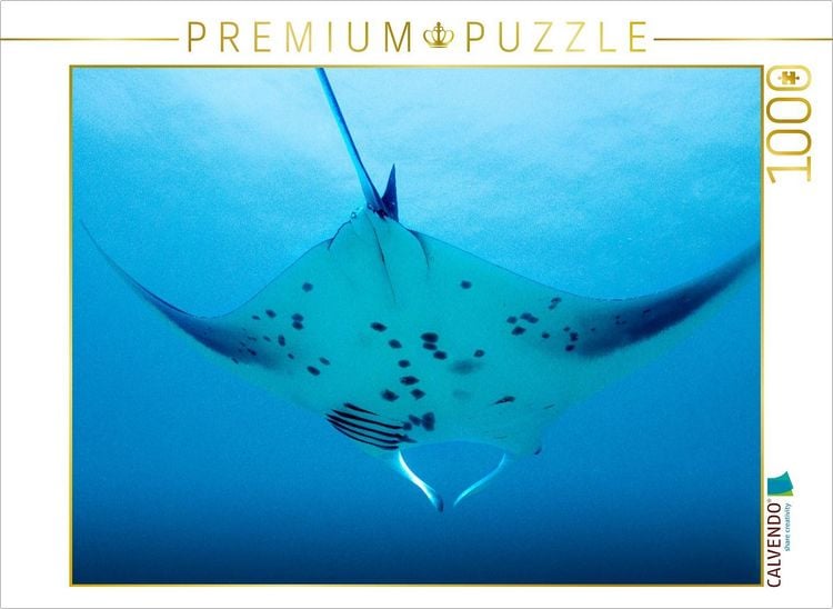 Produktbild: CALVENDO Puzzle Mantarochen im Anflug | 1000 Teile Lege-Gr&ouml;&szlig;e 64x48cm Foto-Puzzle f&uuml;r gl&uuml;ckliche Stunden