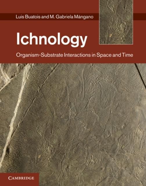 Produktbild: Ichnology