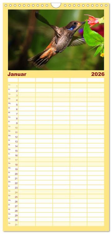 Produktbild: Familienplaner 2026 - Kolibris; Anmut, Sch&ouml;nheit, Farben mit 5 Spalten (Wandkalender, 21 x 45 cm) CALVENDO