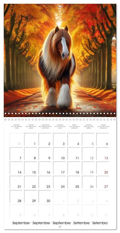 Produktbild: The majestic beauty of Gypsy Vanner (Wall Calendar 2026 12 &times; 12 Inch) CALVENDO 12 Month Wall Calendar