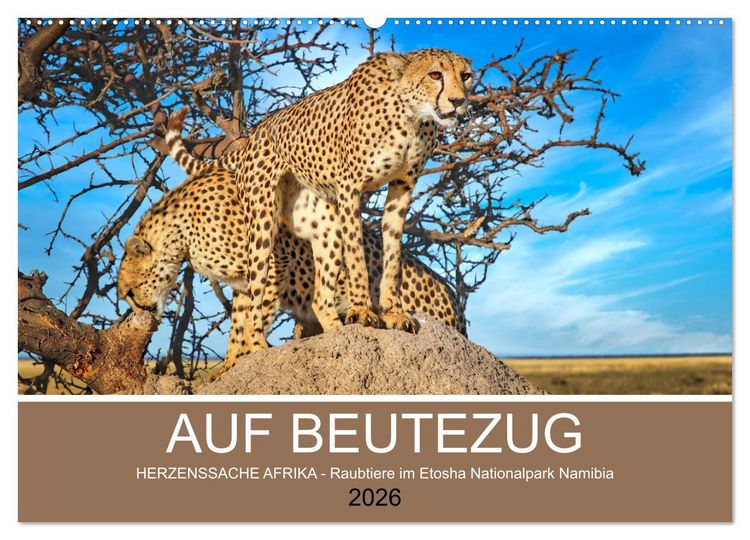 Produktbild: AUF BEUTEZUG (Wandkalender 2026 DIN A2 quer), CALVENDO Monatskalender