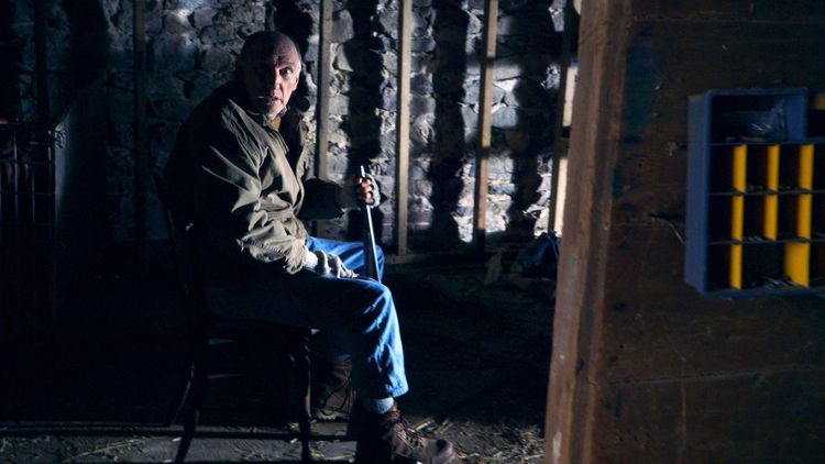 Produktbild: The Visit