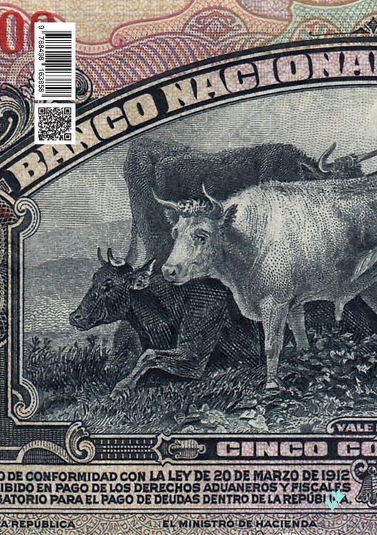 Produktbild: El saqueo de Nicaragua