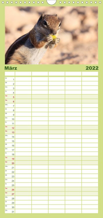 Produktbild: Atlash&ouml;rnchen - Familienplaner hoch (Wandkalender 2022 , 21 cm x 45 cm, hoch)