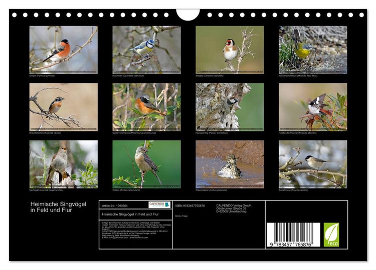 Produktbild: Heimische Singv&ouml;gel in Feld und Flur (Wandkalender 2026 DIN A4 quer), CALVENDO Monatskalender