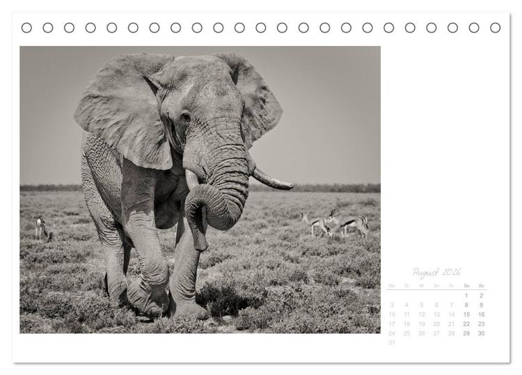 Produktbild: Elefanten in Etosha (Tischkalender 2026 DIN A5 quer), CALVENDO Monatskalender