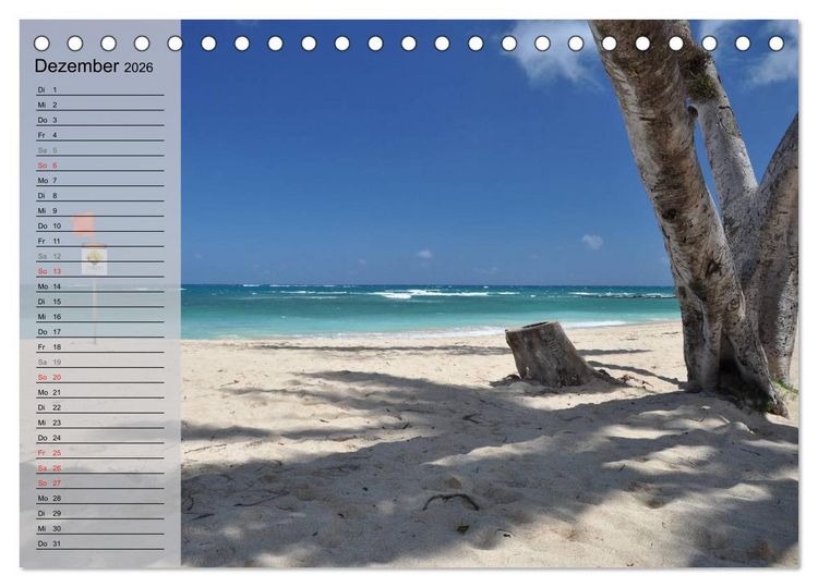 Produktbild: Land of Aloha - Hawaii Monatsplaner (Tischkalender 2026 DIN A5 quer), CALVENDO Monatskalender
