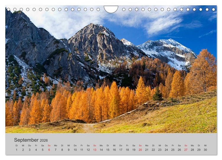 Produktbild: Komm, ich zeige dir den Wald (Wandkalender 2026 DIN A4 quer), CALVENDO Monatskalender