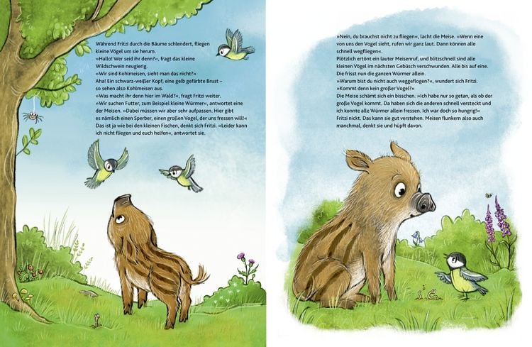 Produktbild: Wie fühlt der Wald?