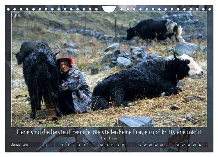 Produktbild: Facettenreiches Tibet (Wandkalender 2026 DIN A4 quer), CALVENDO Monatskalender