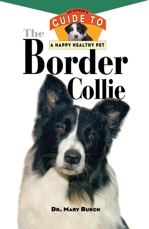 Produktbild: The Border Collie