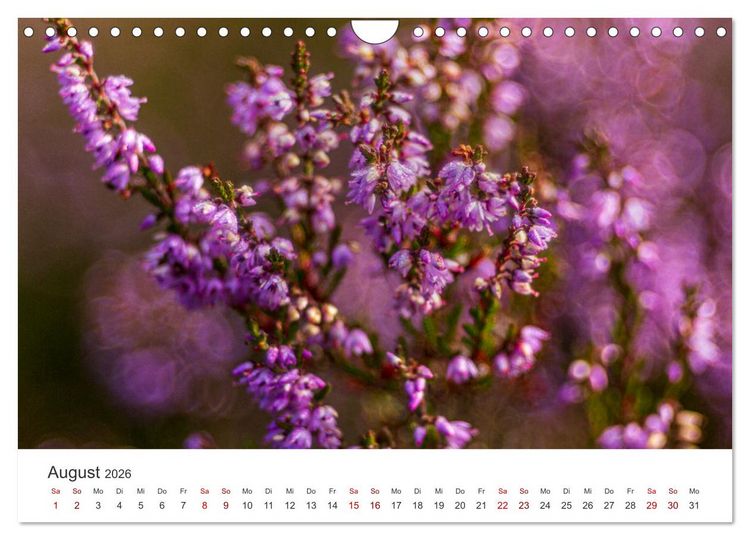 Produktbild: Naturjuwel Haspelmoor (Wandkalender 2026 DIN A4 quer), CALVENDO Monatskalender