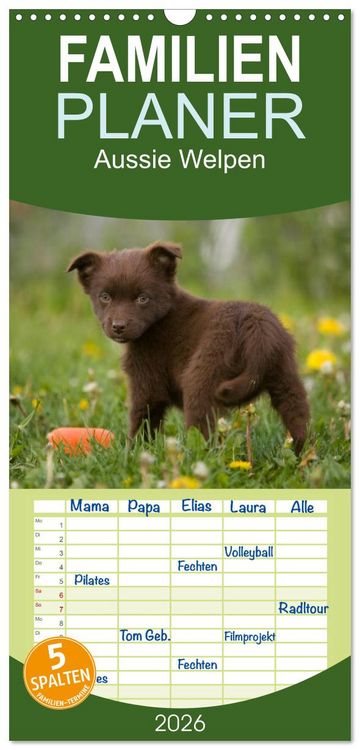 Produktbild: Familienplaner 2026 - Aussie Welpen 2026 mit 5 Spalten (Wandkalender, 21 x 45 cm) CALVENDO