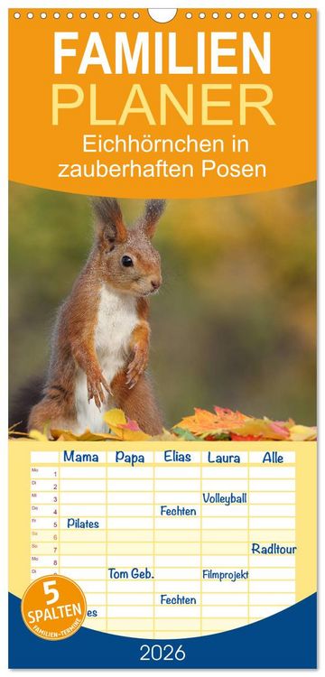 Produktbild: Familienplaner 2026 - Eichh&ouml;rnchen in zauberhaften Posen mit 5 Spalten (Wandkalender, 21 x 45 cm) CALVENDO
