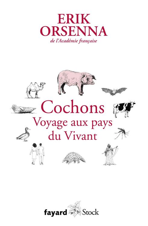 Produktbild: Cochons. Voyage aux pays du Vivant