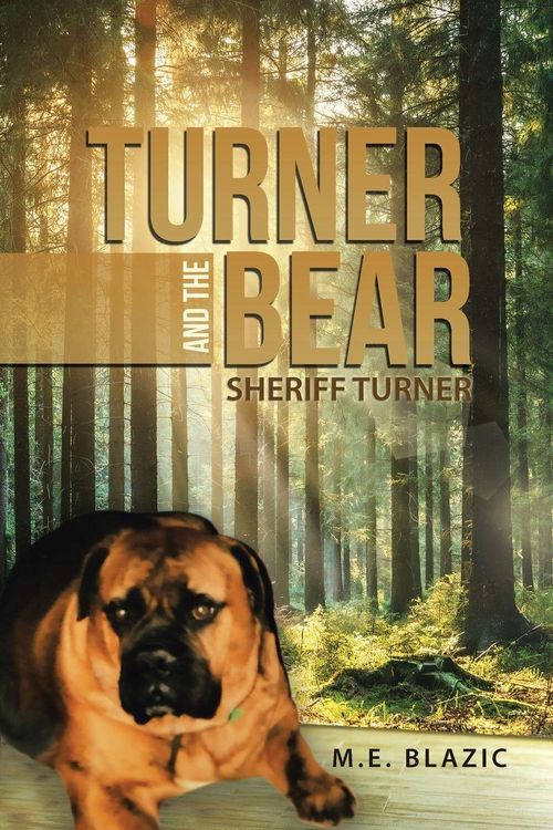 Produktbild: Turner and the Bear