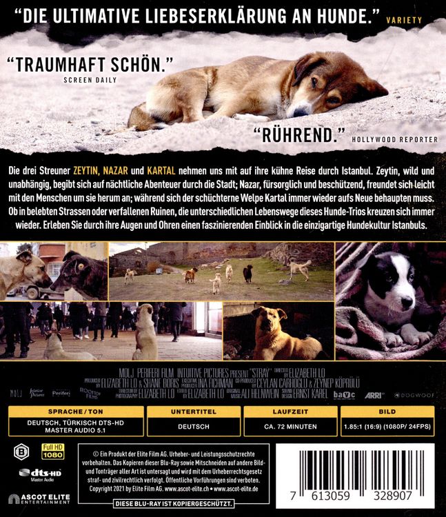 Produktbild: Streuner - Unterwegs mit Hundeaugen