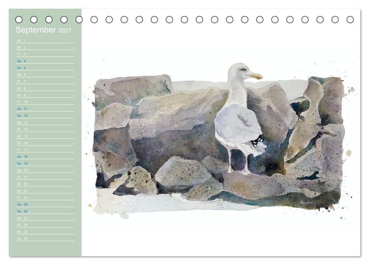 Produktbild: M&ouml;wen - Aquarelle von Julia Pasinski (Tischkalender 2027 DIN A5 quer), CALVENDO Monatskalender