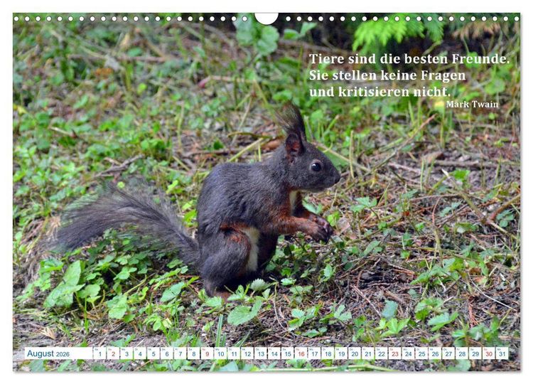 Produktbild: Kraftquelle Natur (Wandkalender 2026 DIN A3 quer), CALVENDO Monatskalender