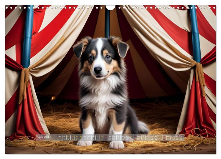 Produktbild: Kuschelige Hunde - kleine Herzensbrecher in Aktion (Wandkalender 2026 DIN A3 quer), CALVENDO Monatskalender