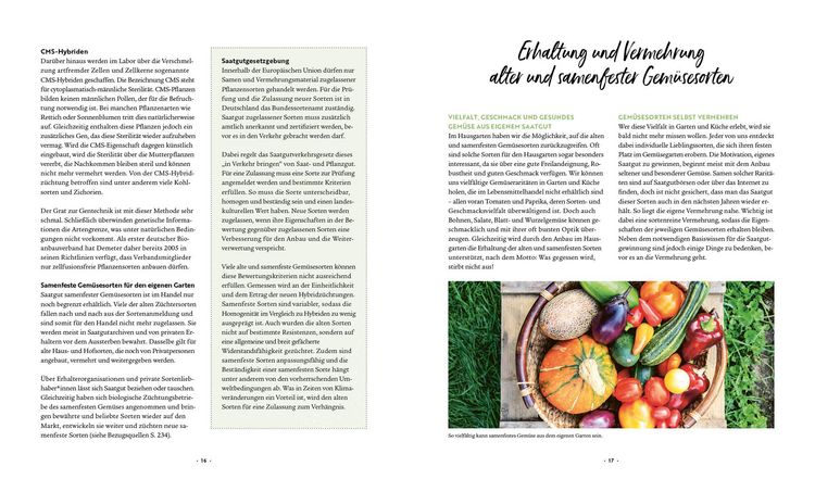 Produktbild: Mein Biogem&uuml;se-Garten