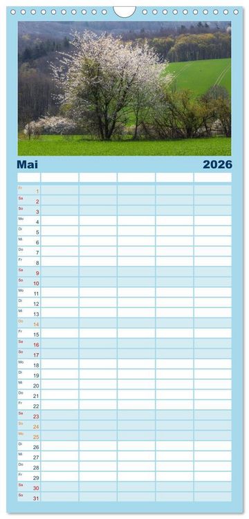Produktbild: Familienplaner 2026 - B&auml;ume, der Atem der Natur mit 5 Spalten (Wandkalender, 21 x 45 cm) CALVENDO