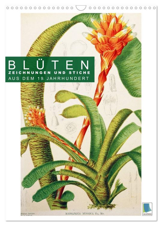 Produktbild: Bl&uuml;ten: Zeichnungen und Stiche aus dem 19. Jahrhundert (Wandkalender 2026 DIN A3 hoch), CALVENDO Monatskalender