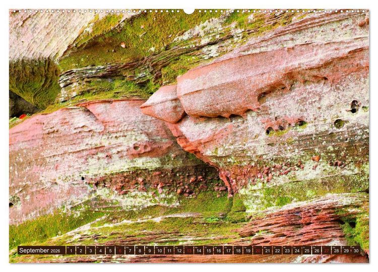 Produktbild: Der Altschlossfelsen - Gr&ouml;&szlig;te Felsformation der Pfalz im herbstlichen Farbspiel (hochwertiger Premium Wandkalender 2026 DIN A2 quer), Kunstdruck in Hochglanz