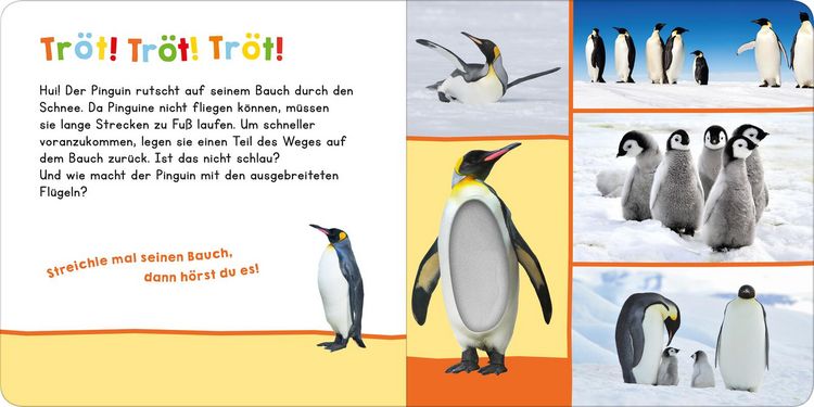 Produktbild: H&ouml;r mal rein, wer kann das sein? &ndash; Im Winter