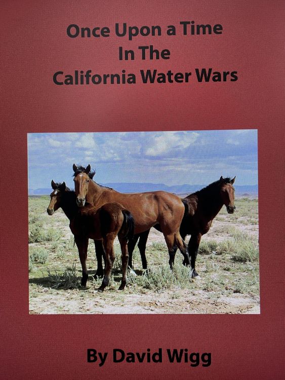 Produktbild: Once Upon A Time In the California Water Wars