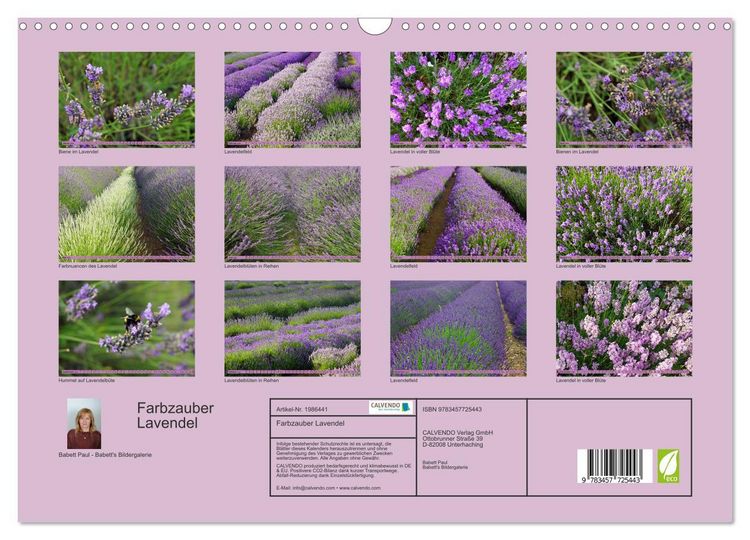 Produktbild: Farbzauber Lavendel (Wandkalender 2026 DIN A3 quer), CALVENDO Monatskalender