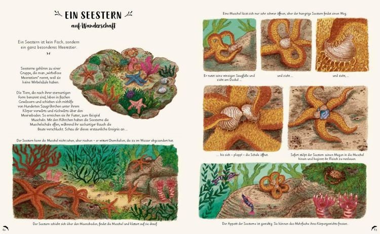 Produktbild: Wunder der Natur zum Innehalten und Staunen
