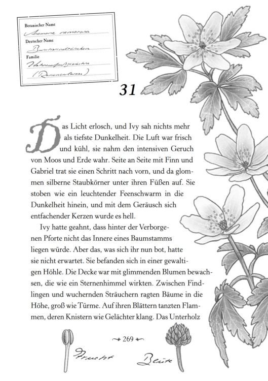 Produktbild: Ivy und die Magie des Poison Garden