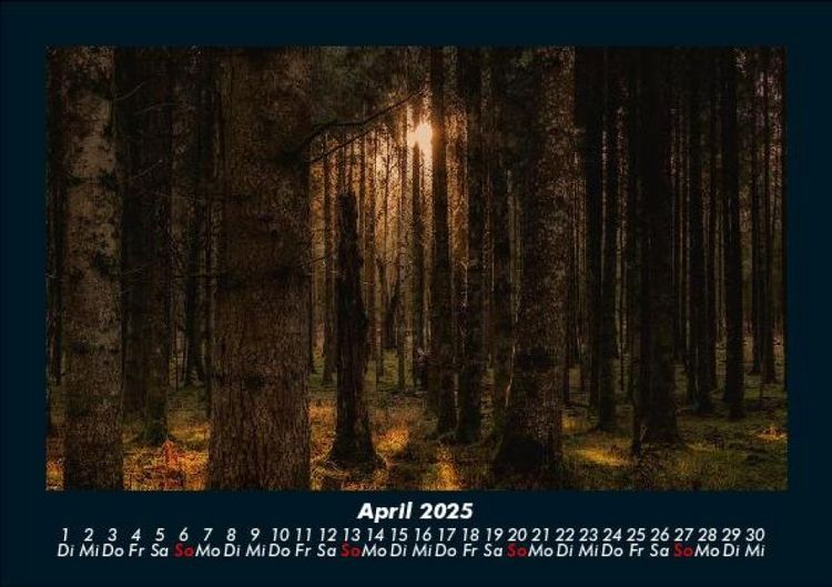 Produktbild: Waldzauber 2025 Fotokalender DIN A5